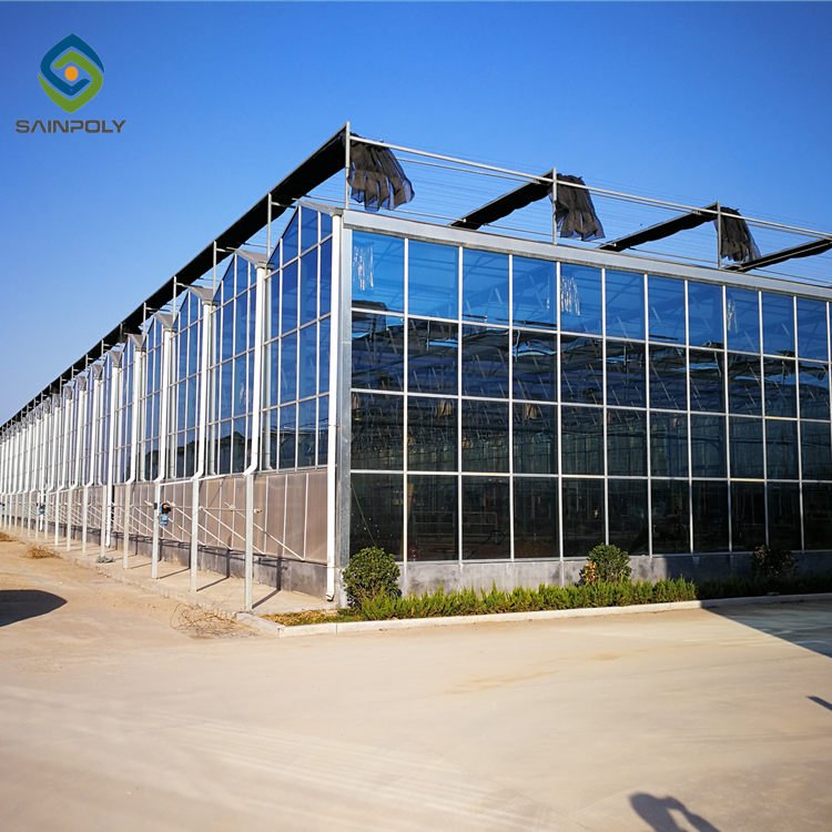 Sainpoly Large Size Glass Greenhouse High Quality Multi-Span with Steel Frame for Agriculture