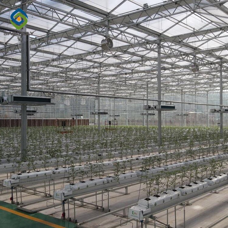 Sainpoly Large Size Glass Greenhouse High Quality Multi-Span with Steel Frame for Agriculture