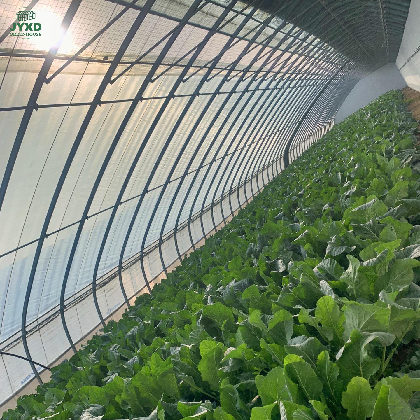 Heat preservation and rain protection high yield double film frame type greenhouse