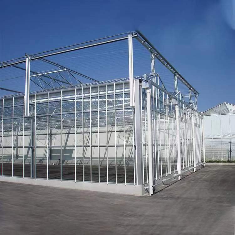 Custom Design Multi-span Agricultural Winter Glass Comercial Venlo Greenhouse For Sale