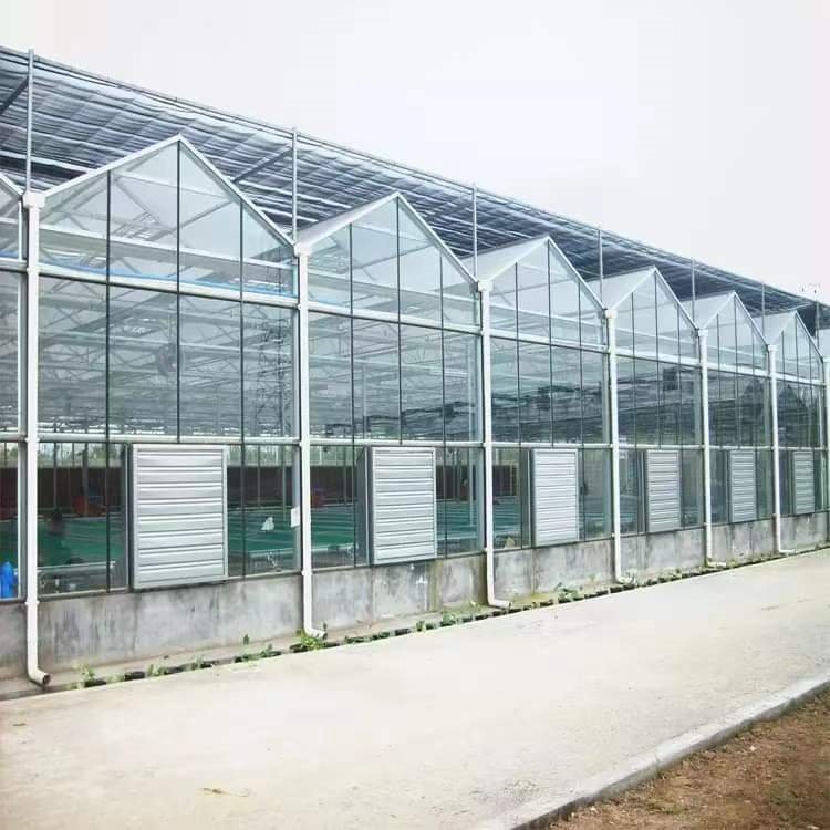 Custom Design Multi-span Agricultural Winter Glass Comercial Venlo Greenhouse For Sale