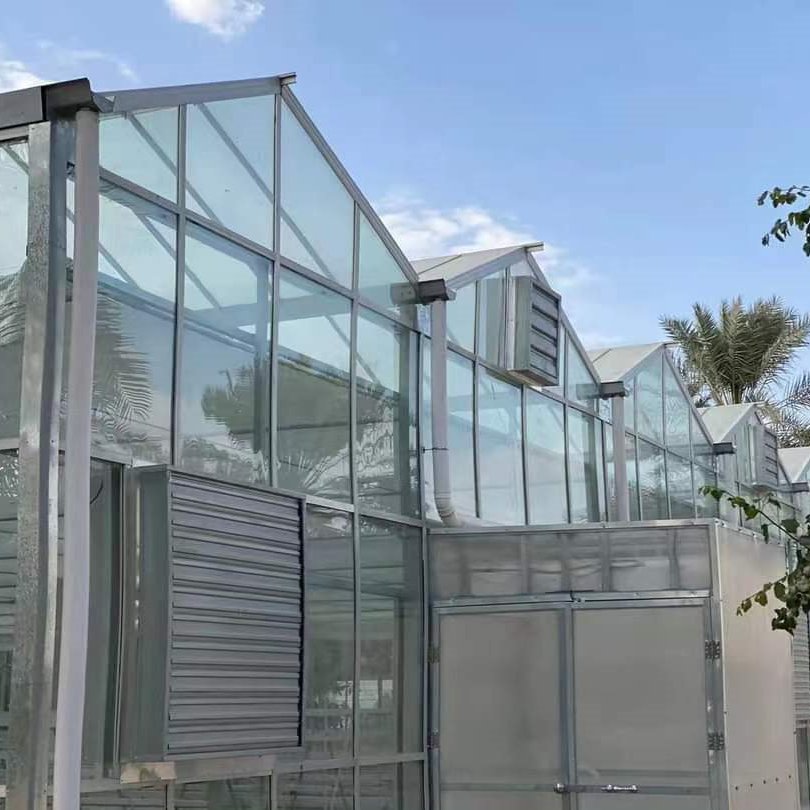 Custom Design Multi-span Agricultural Winter Glass Comercial Venlo Greenhouse For Sale