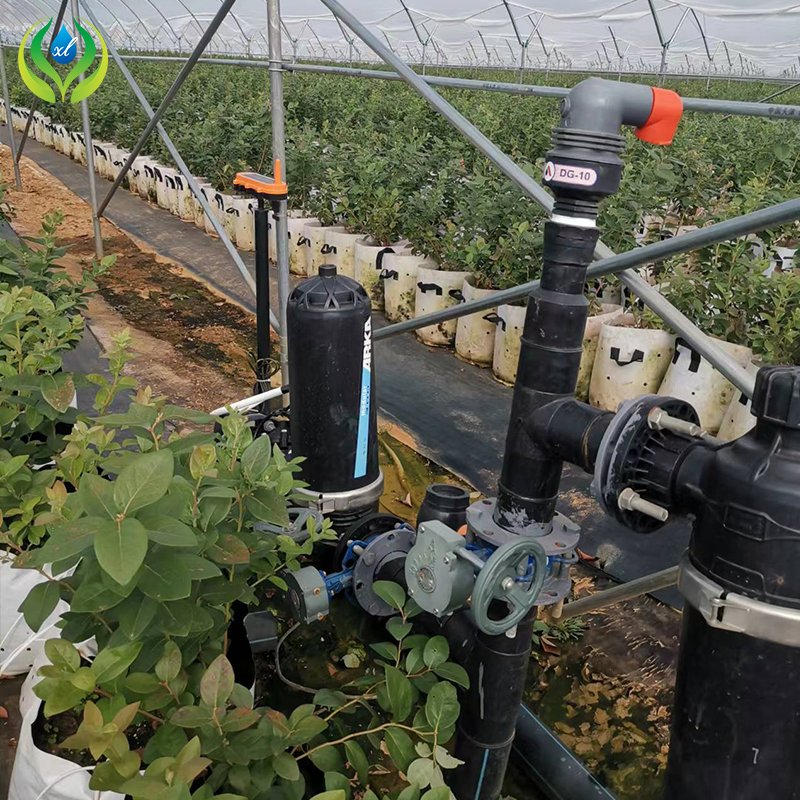 MYXL polytunnel agricultural greenhouses plastic film green house with hydroponic system