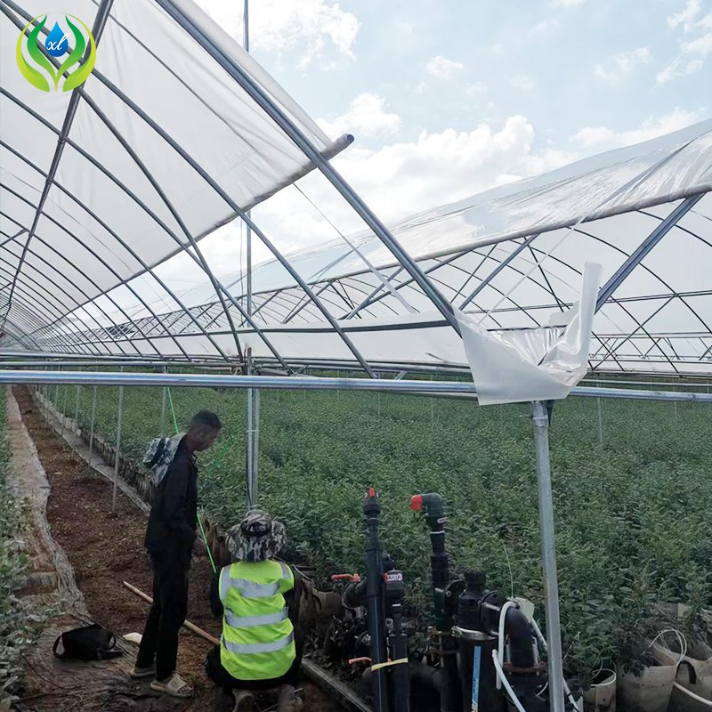 MYXL polytunnel agricultural greenhouses plastic film green house with hydroponic system