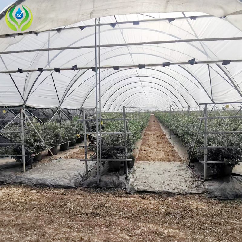 MYXL polytunnel agricultural greenhouses plastic film green house with hydroponic system