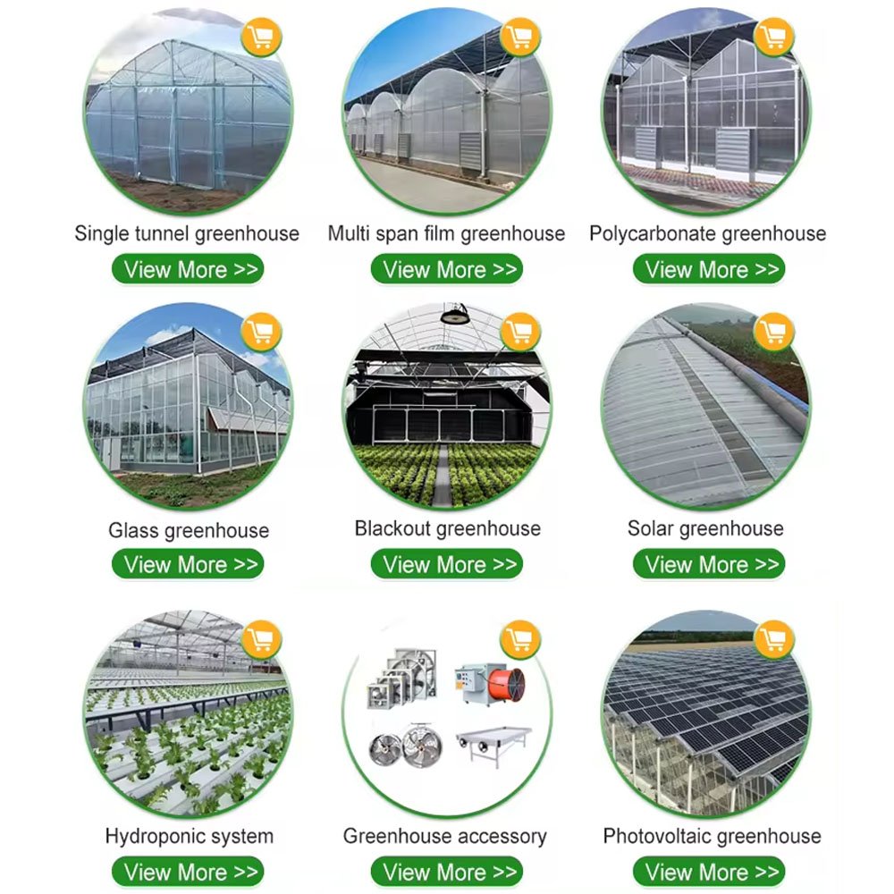 Agriculture Farm Aquaponics Growing Systems Hydroponic Farming Multi-Span Greenhouse