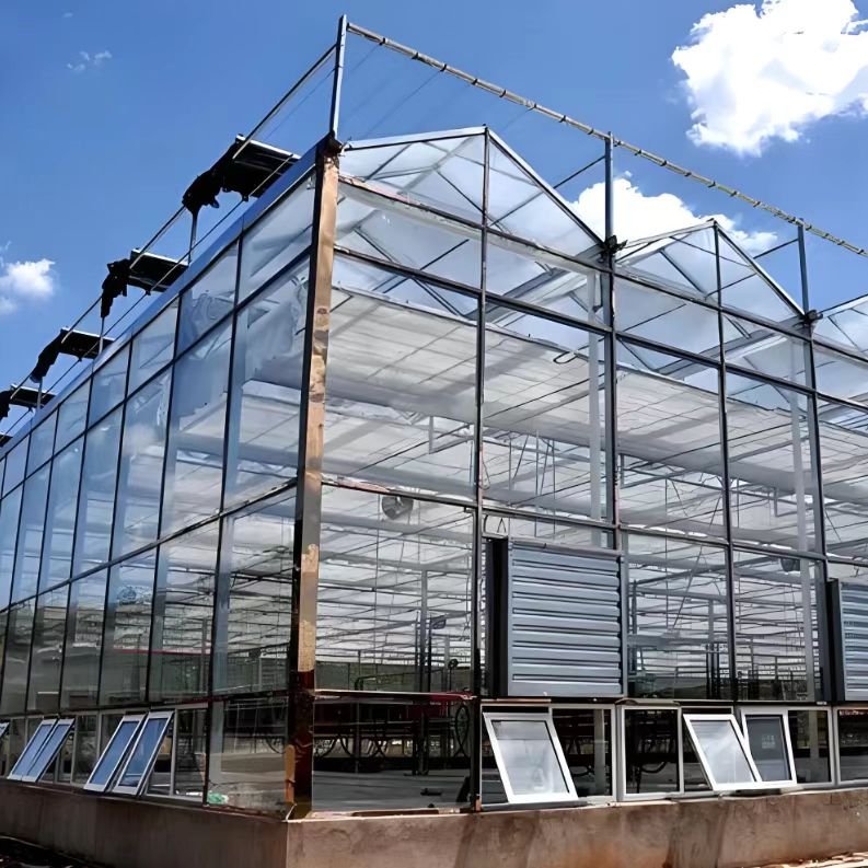 With Steel Frame HDPE Film Cover for Plant Plastic Cover Sheet Agriculture Multispan Greenhouse Large polycarbonate Greenhouse