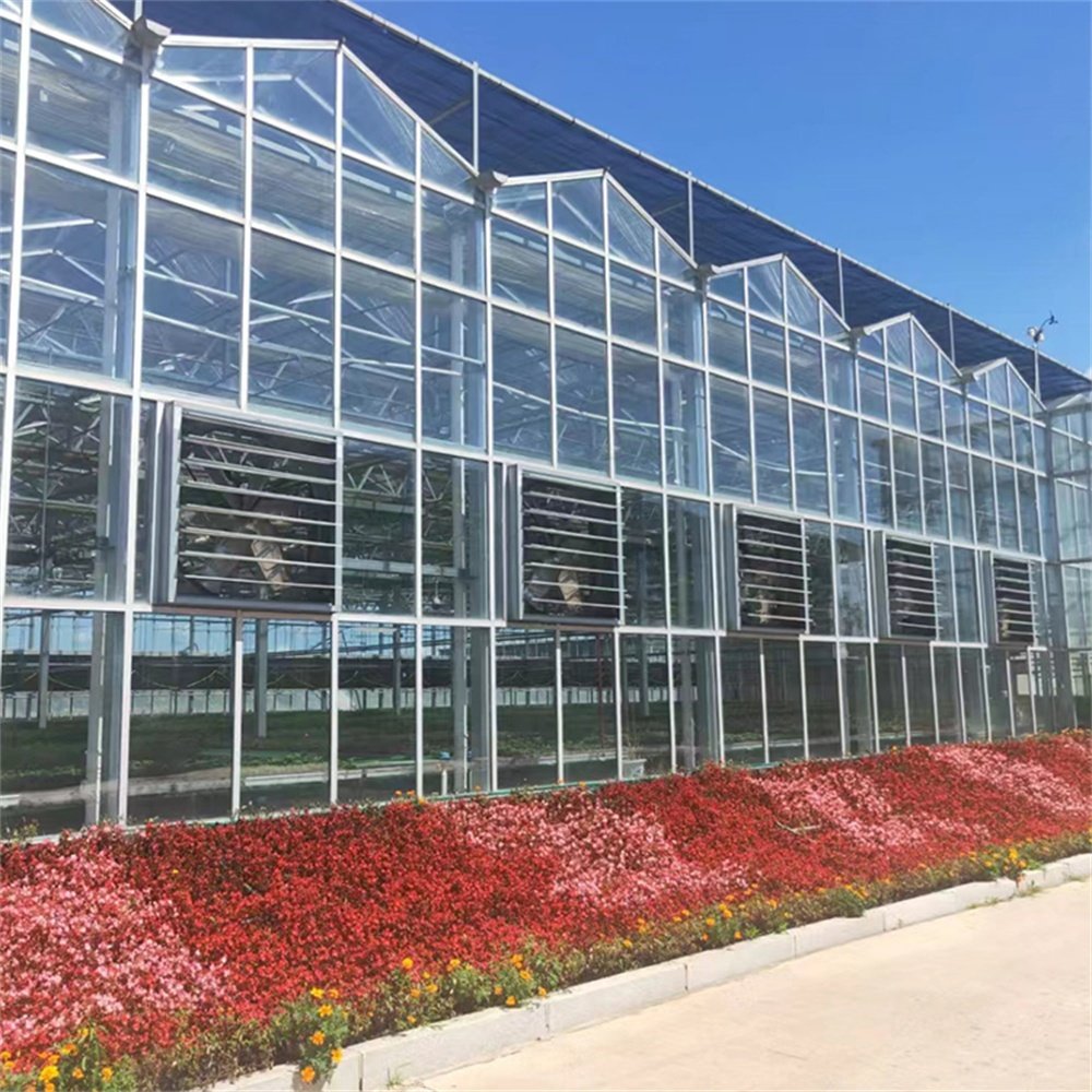 JNHF Glass Agricultural Greenhouse Multi-span Greenhouse