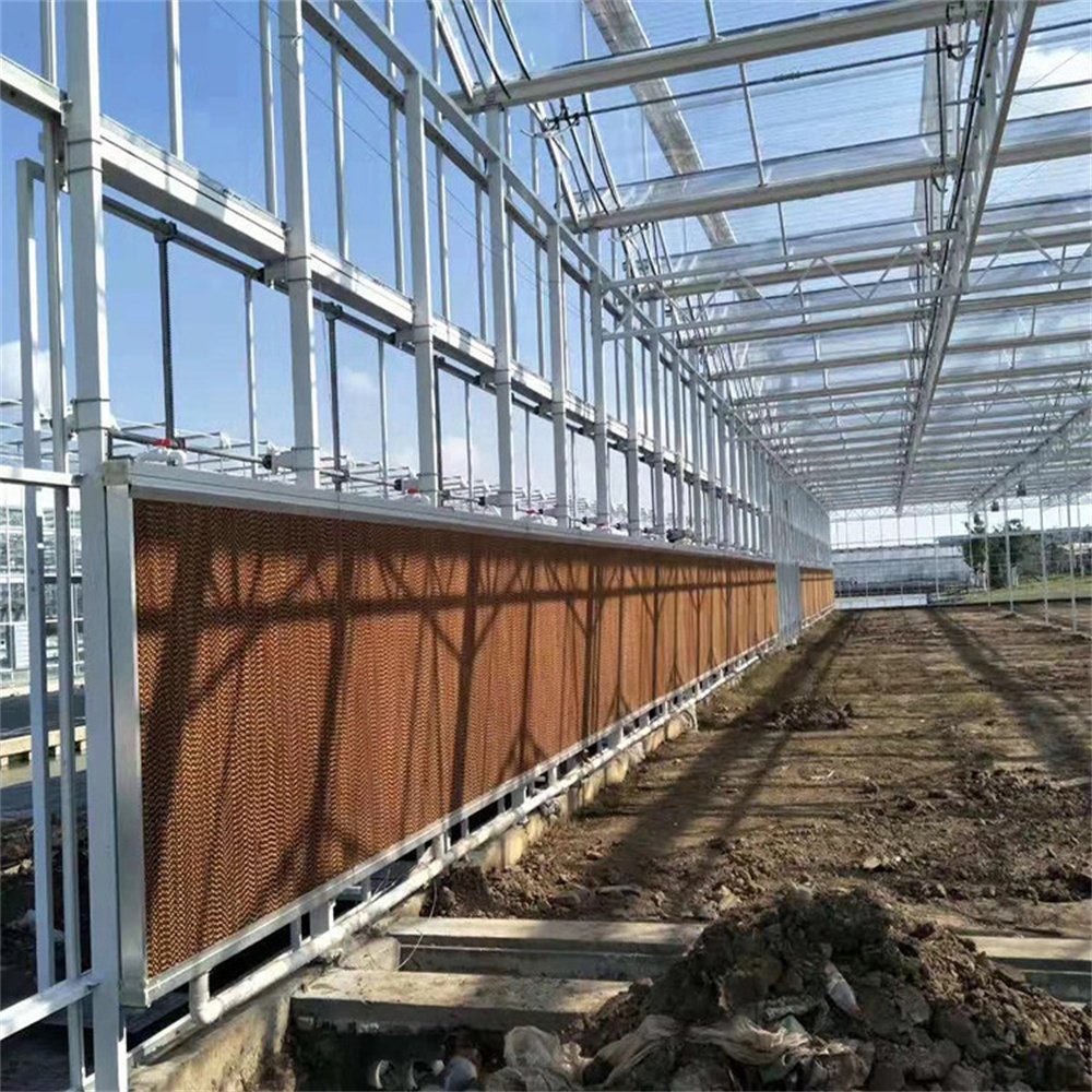 JNHF Glass Agricultural Greenhouse Multi-span Greenhouse