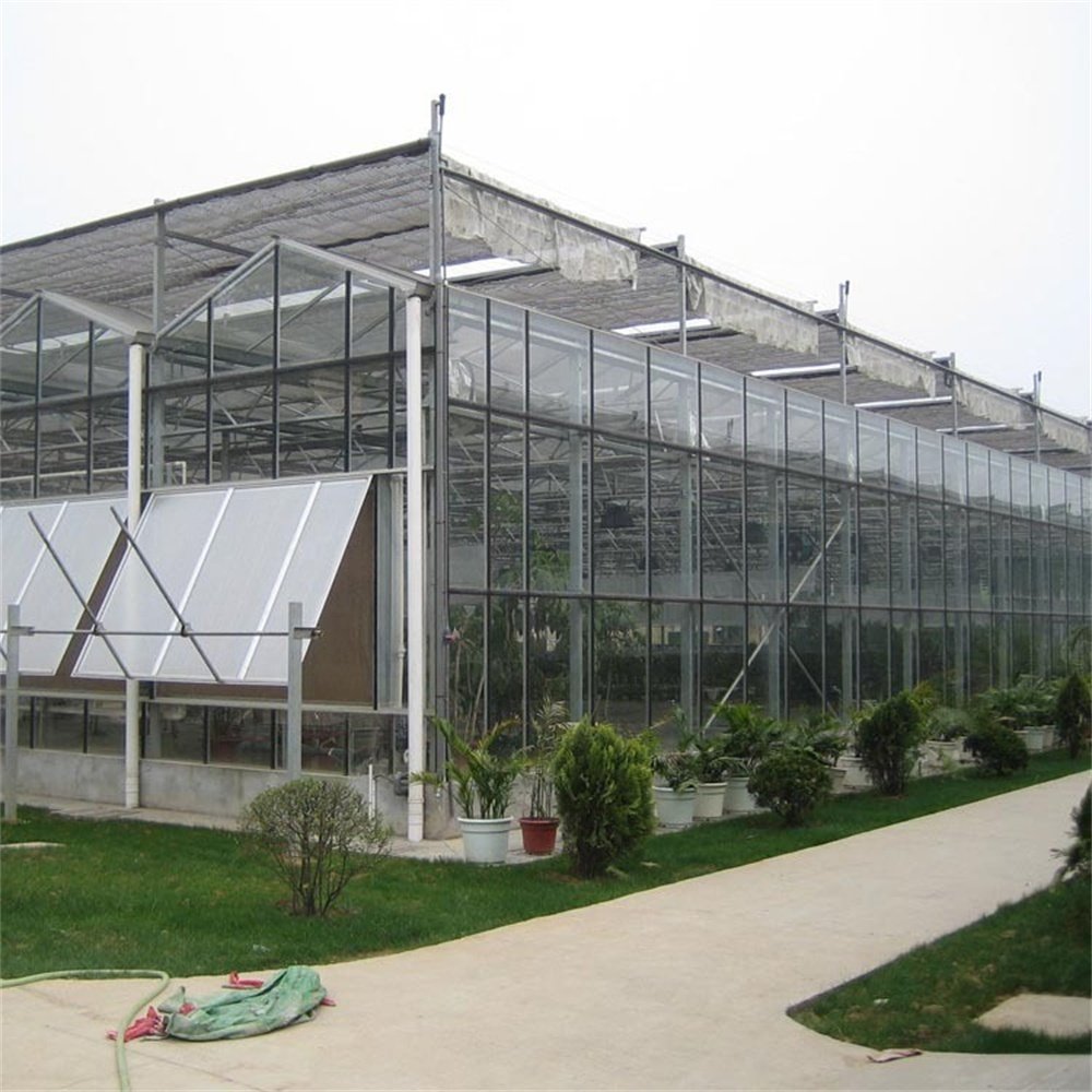 JNHF Glass Agricultural Greenhouse Multi-span Greenhouse