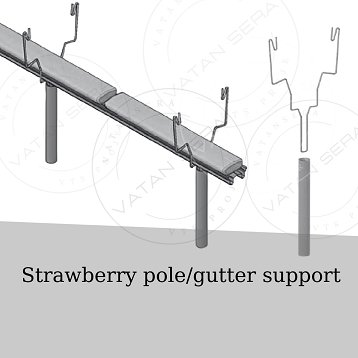 BEST SUPPLIER Strawberry Gutter Growing Systems for Greenhouse from Turkey to World with high standard