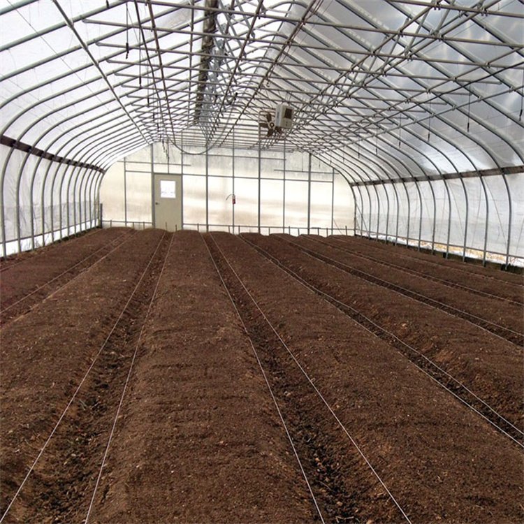 Baolida Invernadero vegetable planting greenhouse plastic film single-span greenhouse tunnel for agriculture