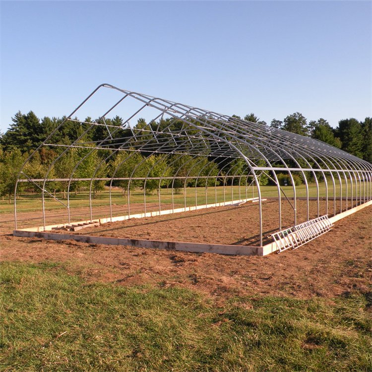 Baolida Invernadero vegetable planting greenhouse plastic film single-span greenhouse tunnel for agriculture