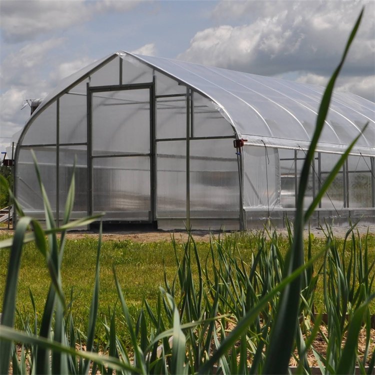 Baolida Invernadero vegetable planting greenhouse plastic film single-span greenhouse tunnel for agriculture