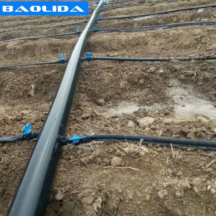 Baolida Greenhouse equipment with irrigation cooling shading system