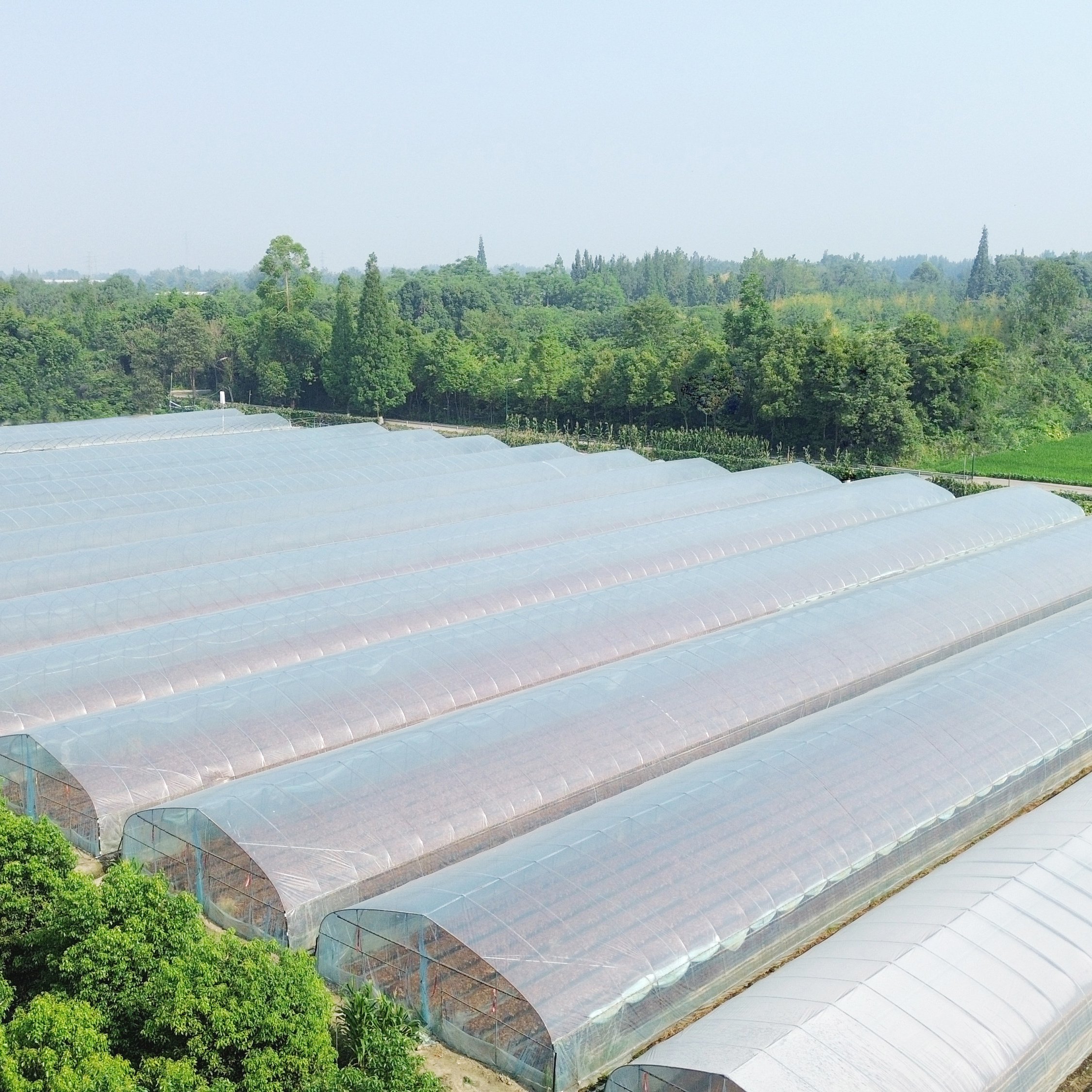 Economical hydroponics galvanized pipe greenhouse high tunnels plastic film agricultural greenhouse for vegetables planting