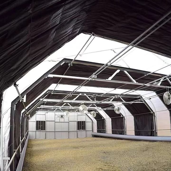 Large Agricultural Greenhouses Light Deprivation Hydroponic Stable Design Single Double Options Durable Steel PE PC Sheet