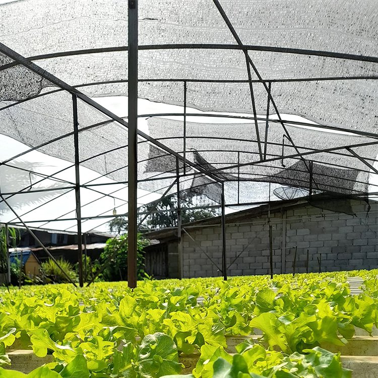 Customized Knitted Flat Weaving Tape fabric sun shade cloth for sale agriculture