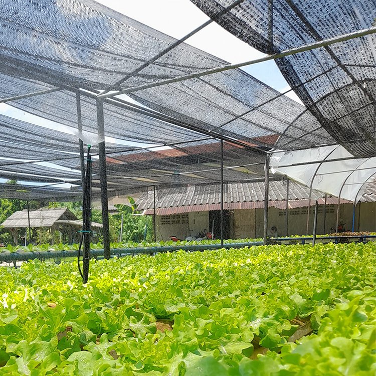 Customized Knitted Flat Weaving Tape fabric sun shade cloth for sale agriculture