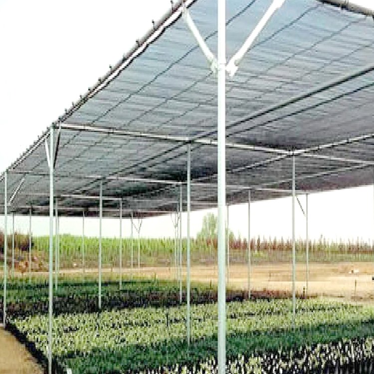 Customized Knitted Flat Weaving Tape fabric sun shade cloth for sale agriculture