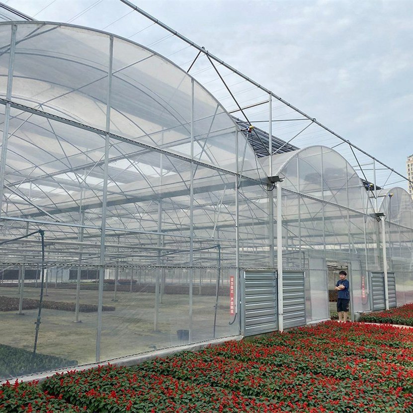 Tomato Commercial Greenhouse Hydroponic System Multis-pan Agriculture Greenhouse With Climate Control Systems