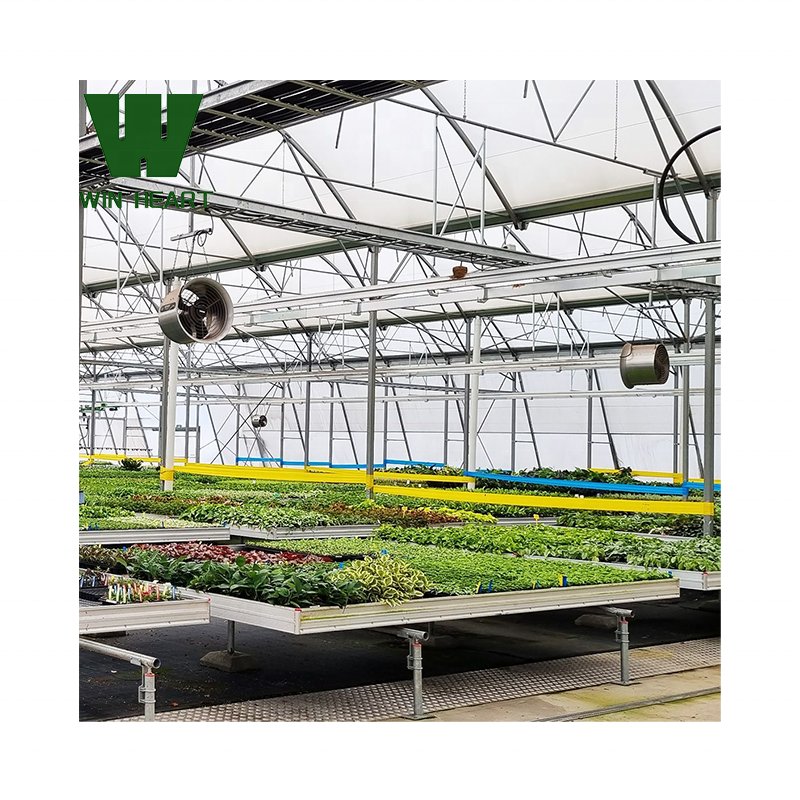 Serre Agricole greenhouse Agricultural Farm greenhouses For Lettuce