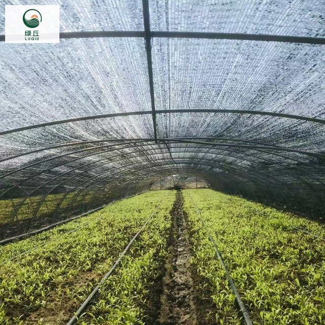 LuQiu new material HDPE semi-shadow black greenhouse sunshade net for agriculture 35%-95% horticultural shade net