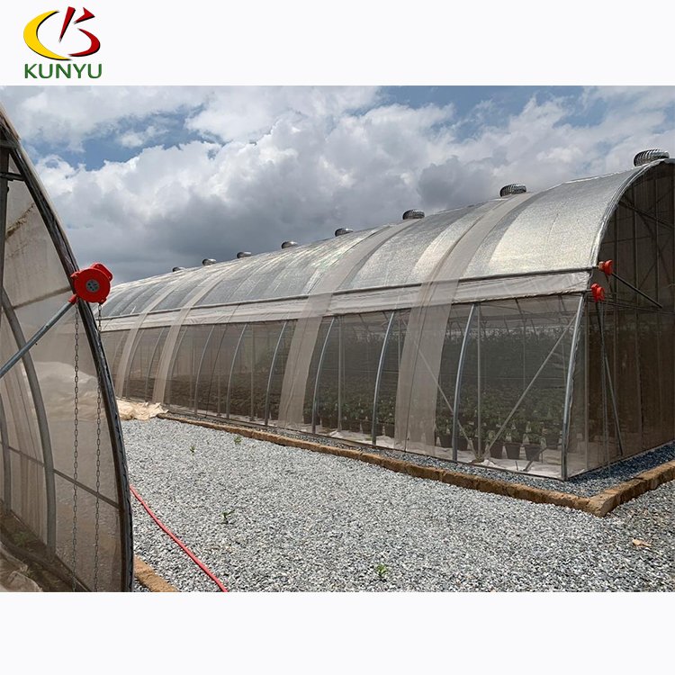 Single tunnel greenhouse plastic tunnel with galvanized steel (/polycarbonate)
