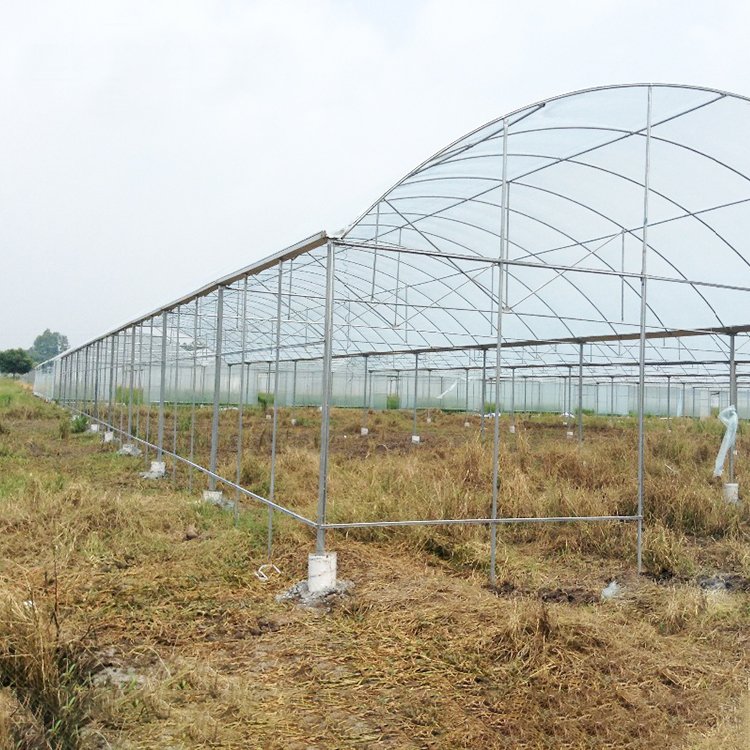 Commercial Polytunnel Green House High Tunnel Quonset Hut Greenhouse