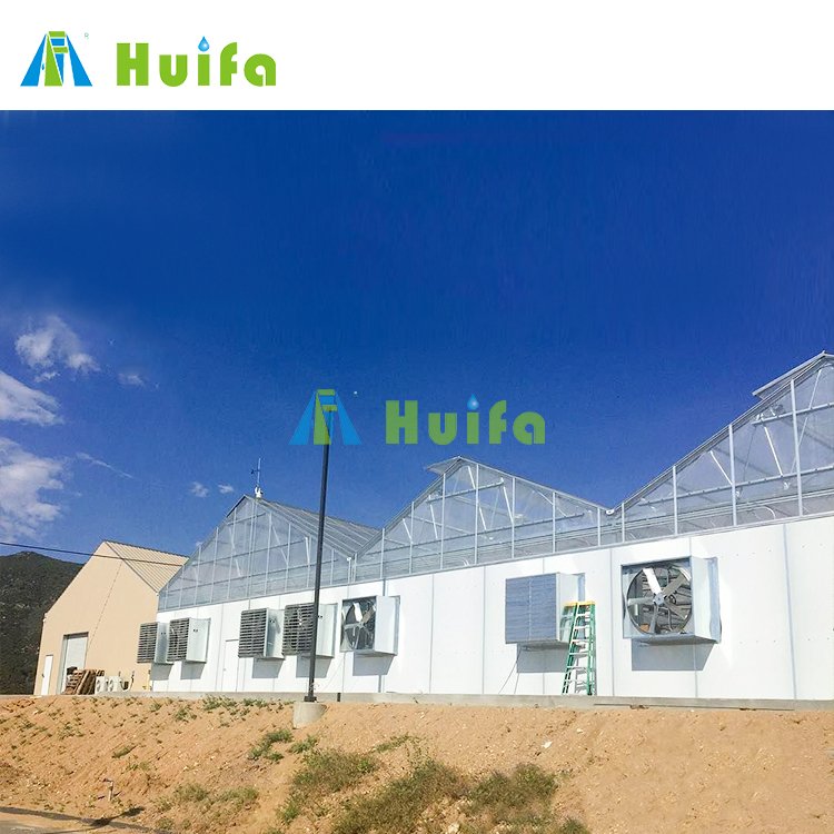 Commercial Light Deprivation Hybrid Frame Automated Blackout Greenhouse Price Agricultural Greenhouses Kit Equipment For Plants