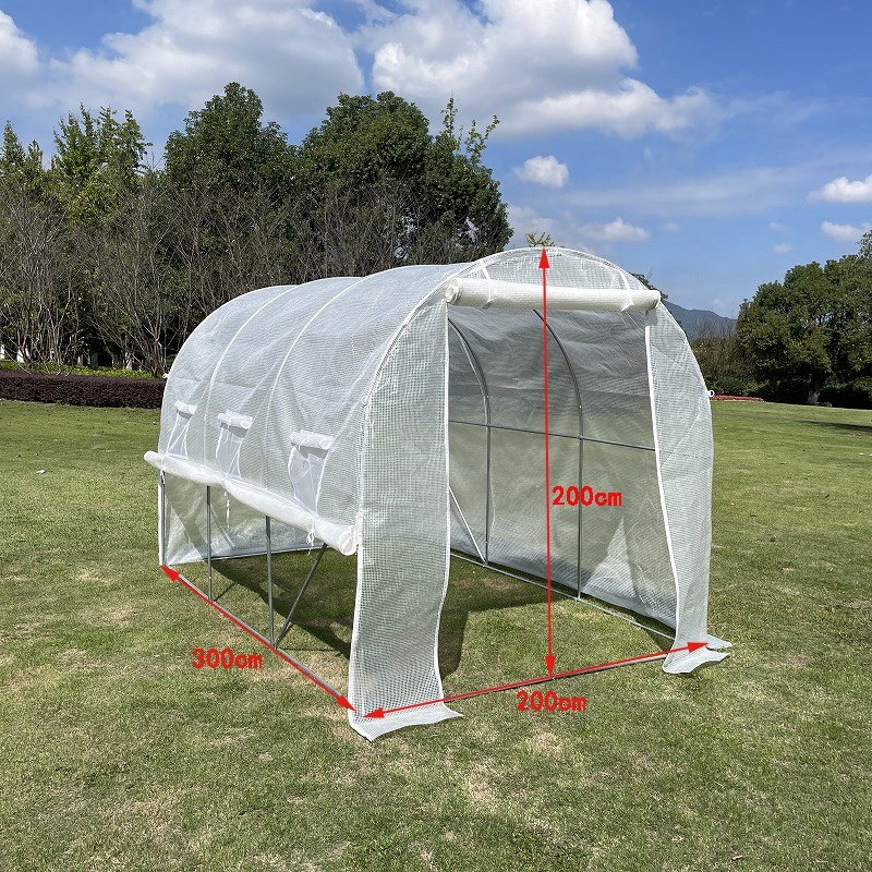 Easy-to-Assemble Metal Frame Tunnel Greenhouse for Mushroom Cultivation