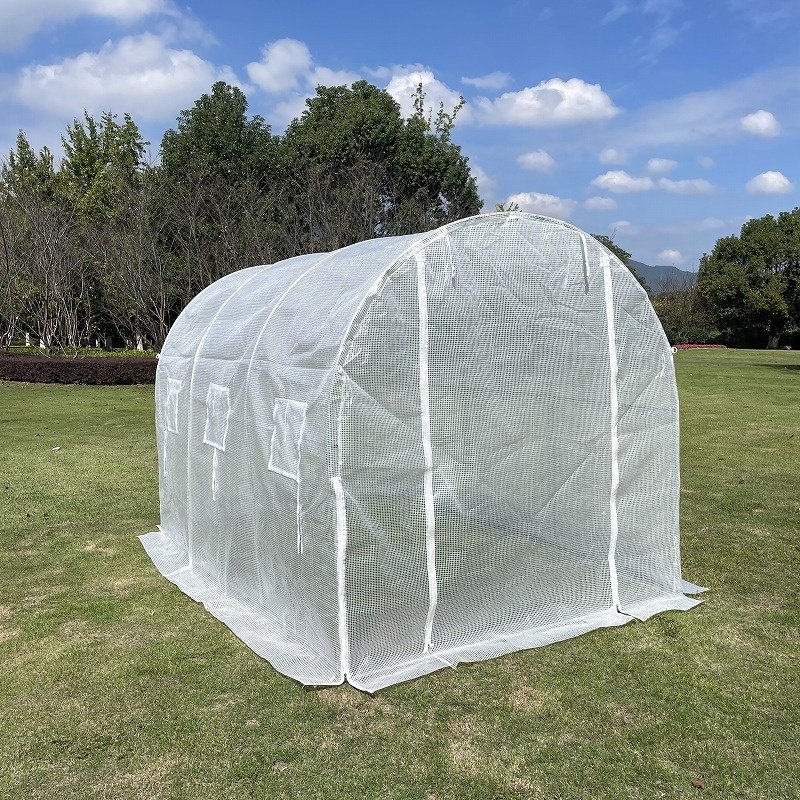 Easy-to-Assemble Metal Frame Tunnel Greenhouse for Mushroom Cultivation