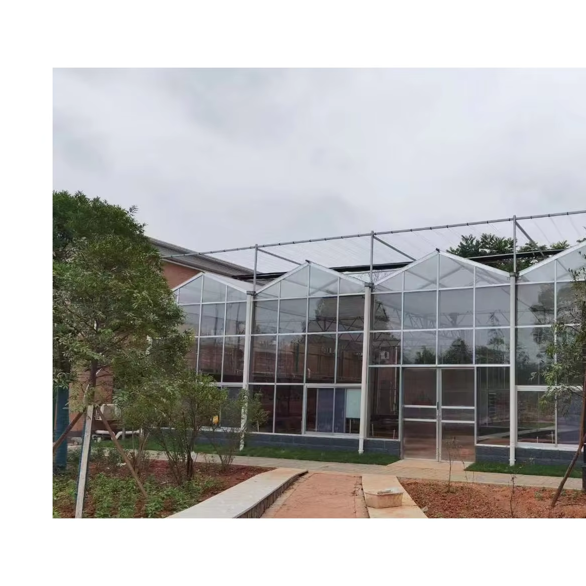 New products hot sale intelligent agriculture greenhouse multi-span glass greenhouse vegetable flower hydroponic greenhouse
