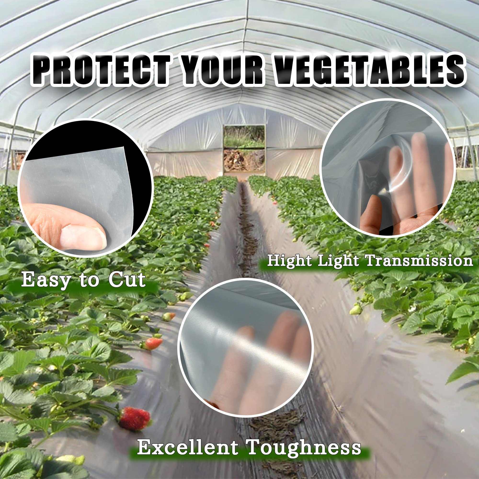sophisticated technology agriculture greenhouse film pet plastic for Greenhouse