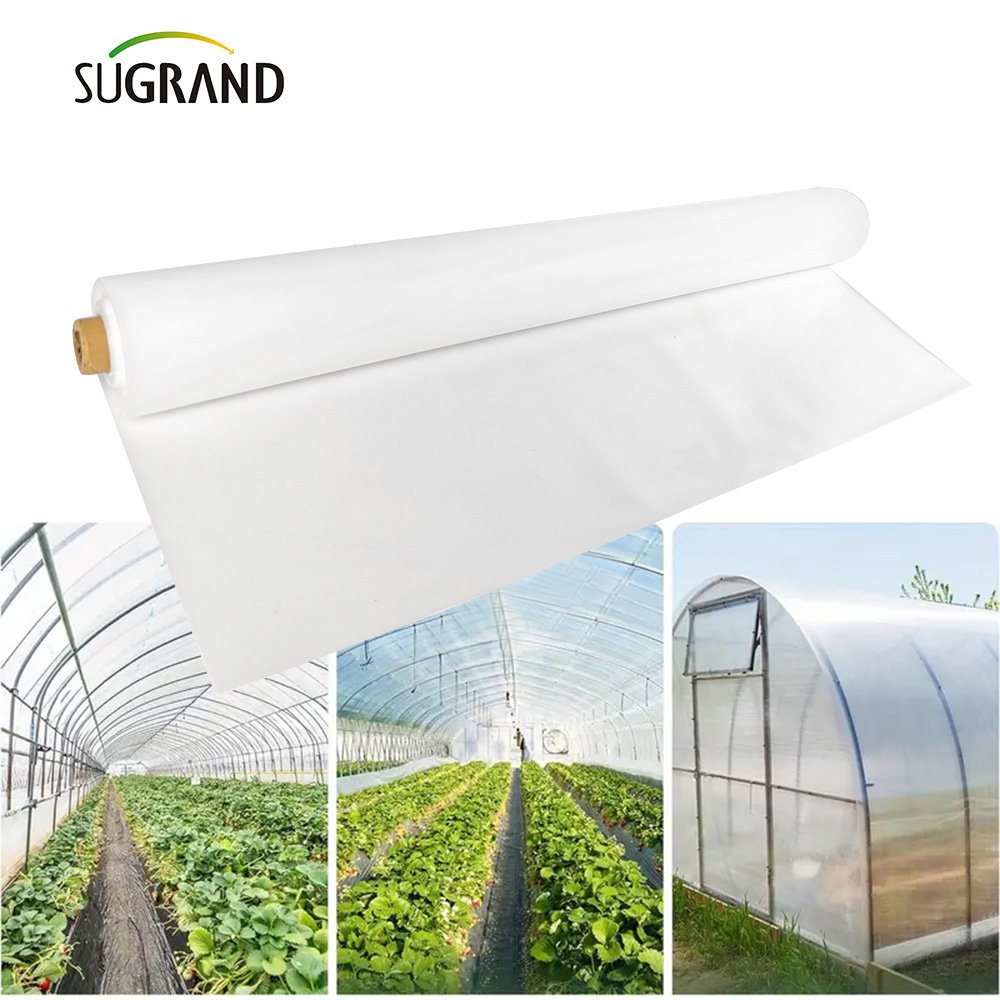 sophisticated technology agriculture greenhouse film pet plastic for Greenhouse