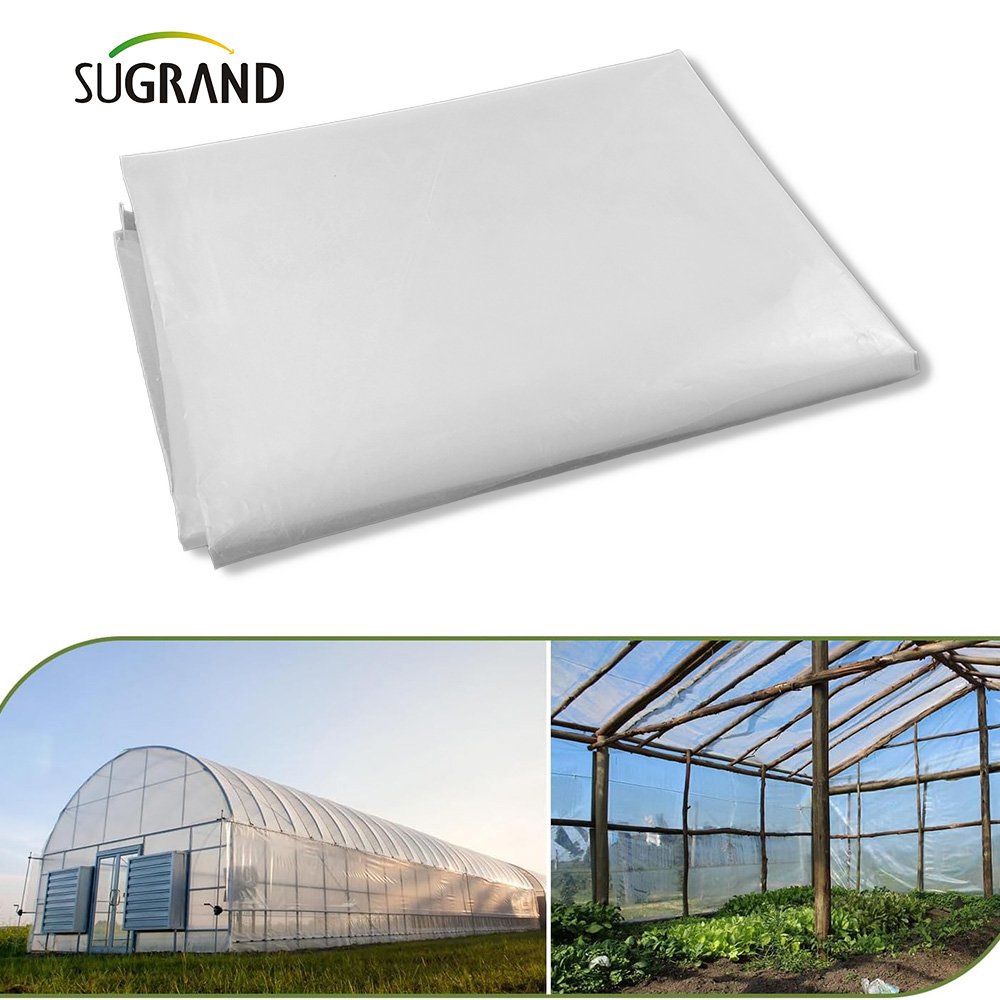 sophisticated technology agriculture greenhouse film pet plastic for Greenhouse
