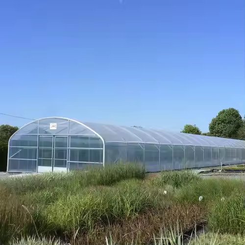 Single Span Steel green house metal frame Plastic Film Tunnel Vegetable agricultural greenhouses