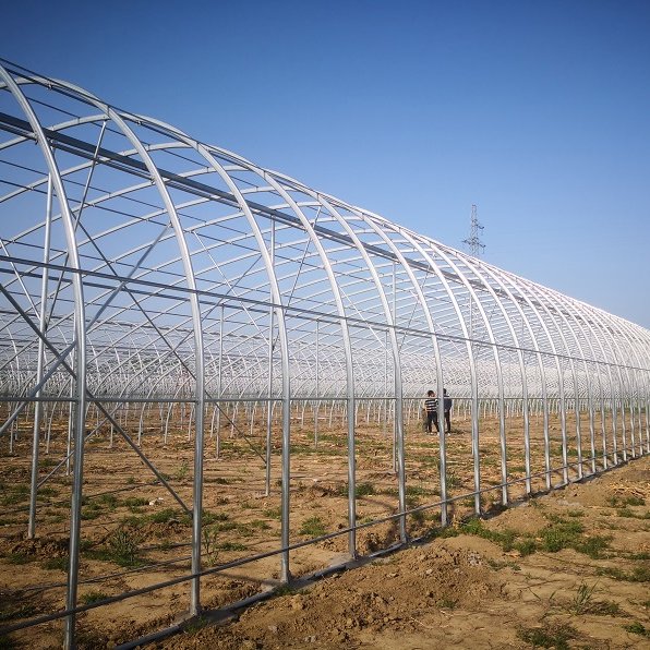 Single Span Steel green house metal frame Plastic Film Tunnel Vegetable agricultural greenhouses