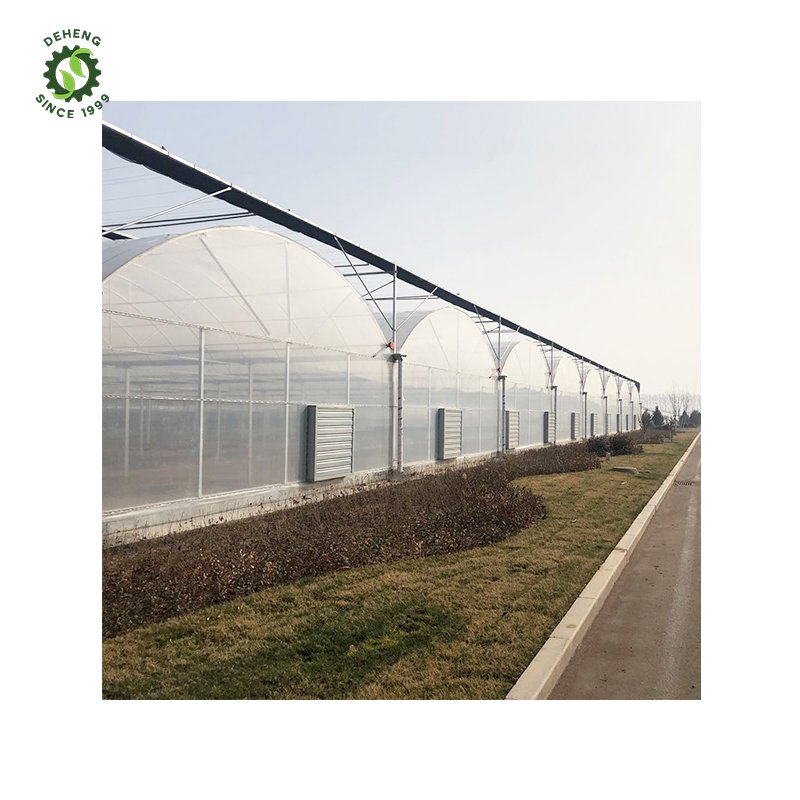 Special Hot Selling Multi-Span Agricultural Greenhouses Cover Span Greenhouse For Agriculture In Plastic Film