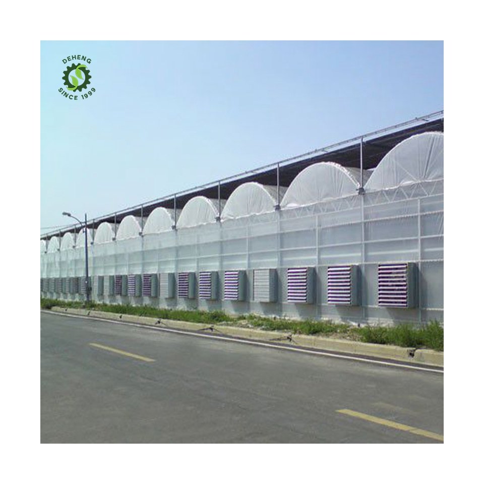 Special Hot Selling Multi-Span Agricultural Greenhouses Cover Span Greenhouse For Agriculture In Plastic Film
