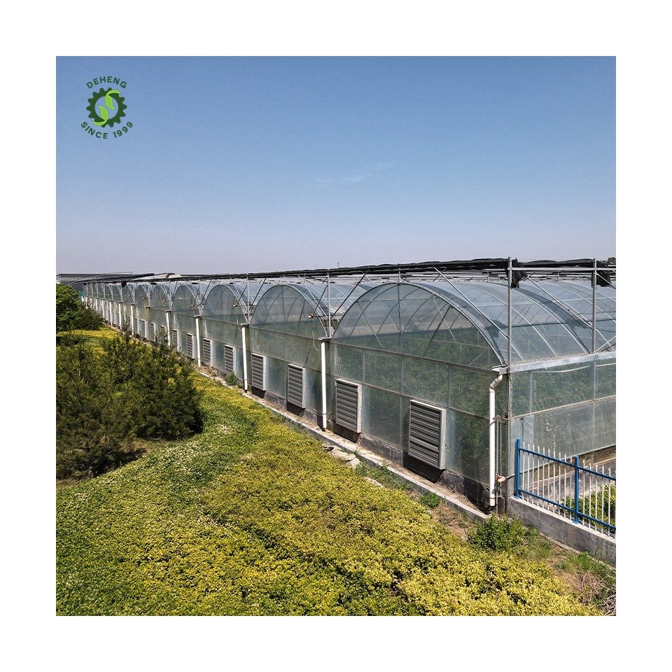 Special Hot Selling Multi-Span Agricultural Greenhouses Cover Span Greenhouse For Agriculture In Plastic Film