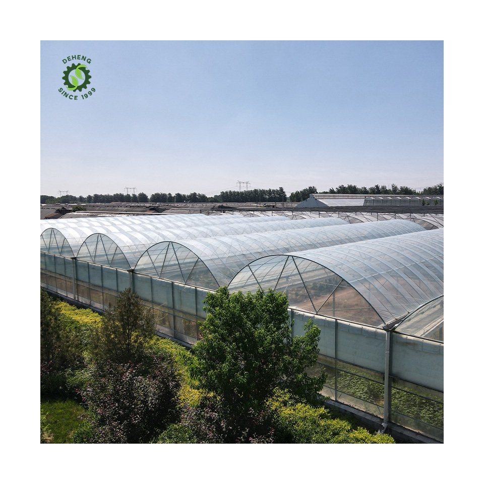 Special Hot Selling Multi-Span Agricultural Greenhouses Cover Span Greenhouse For Agriculture In Plastic Film