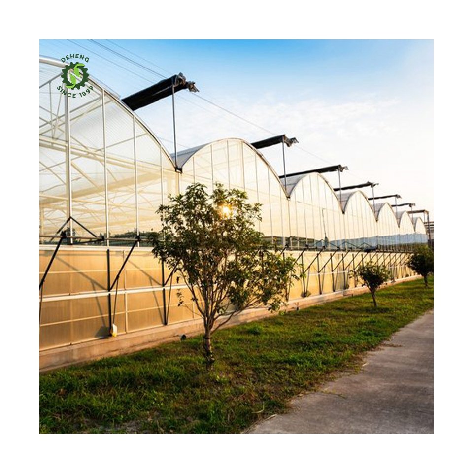 Special Hot Selling Multi-Span Agricultural Greenhouses Cover Span Greenhouse For Agriculture In Plastic Film
