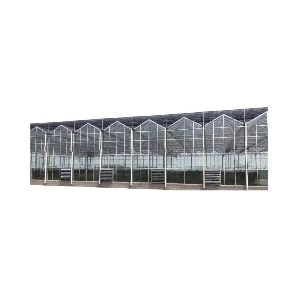Multi-functional Large Multi-Span Venlo Glass Greenhouse with Intelligent Sun Panel for Flowers