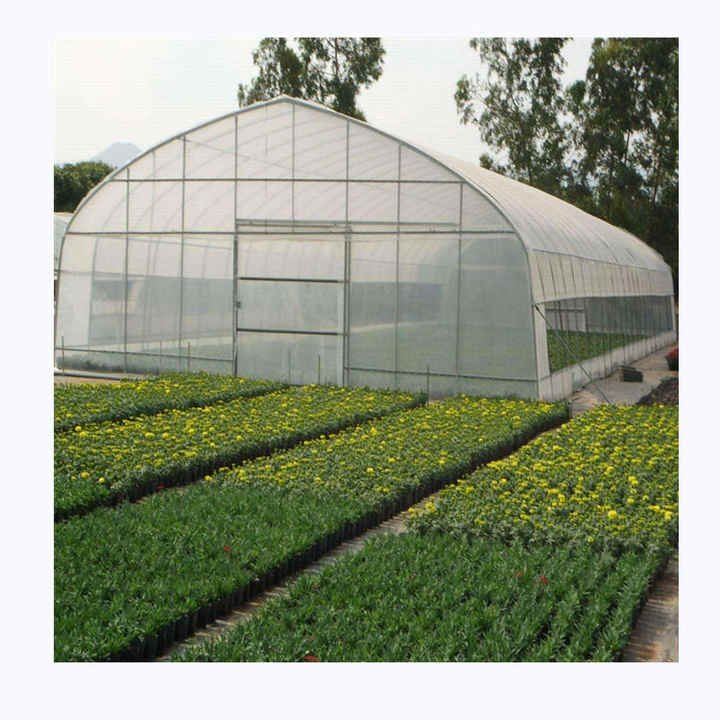 Large Commercial Green Houses Agriculture Greenhouse