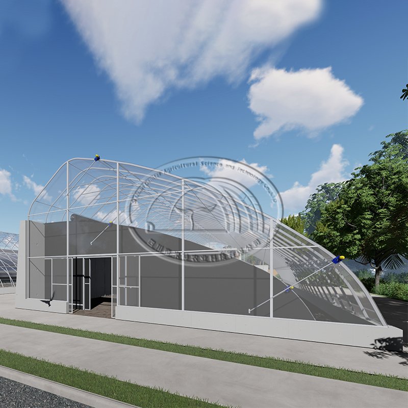 Double arch galvanized steel structure waterproof quilt winter warm greenhouse chinese agriculture passive solar greenhouse