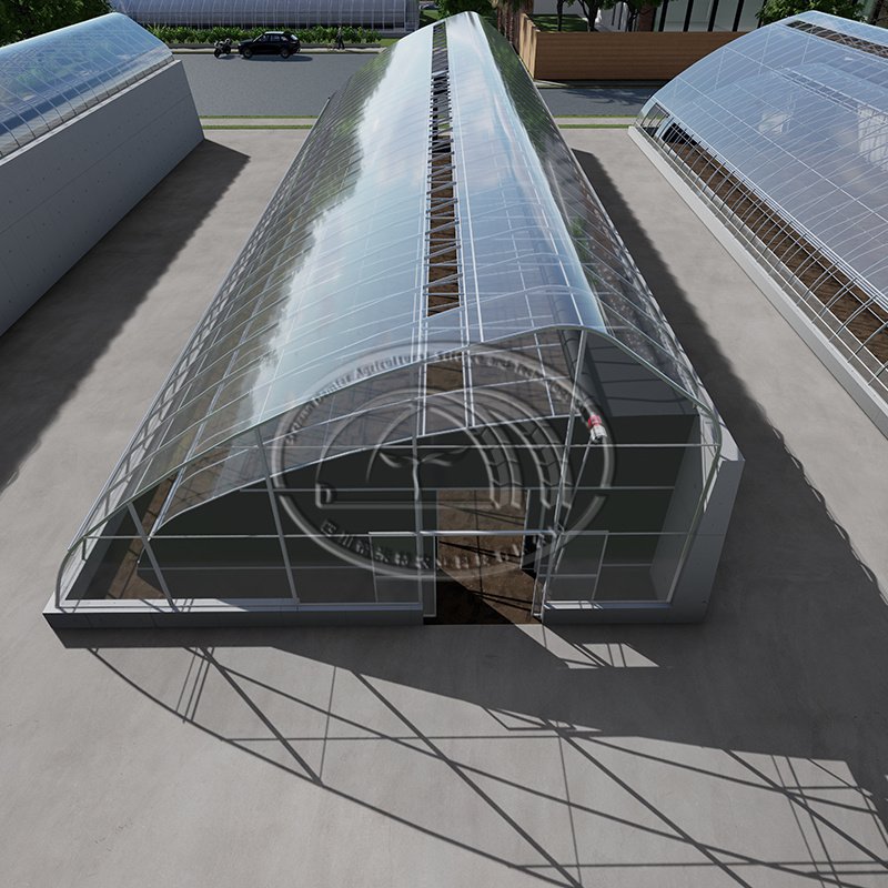 Double arch galvanized steel structure waterproof quilt winter warm greenhouse chinese agriculture passive solar greenhouse