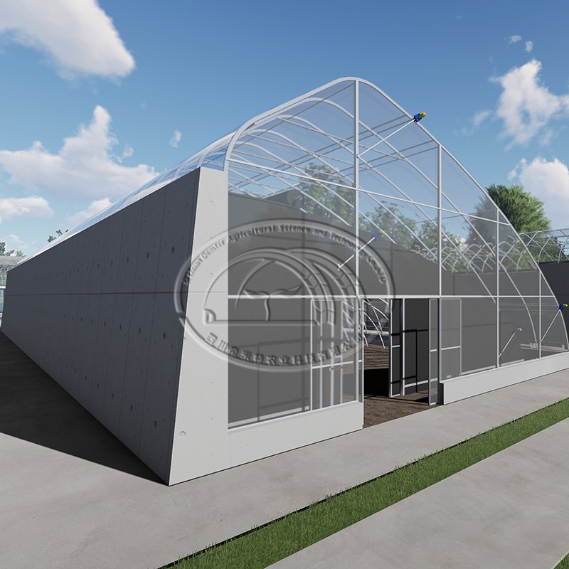 Double arch galvanized steel structure waterproof quilt winter warm greenhouse chinese agriculture passive solar greenhouse