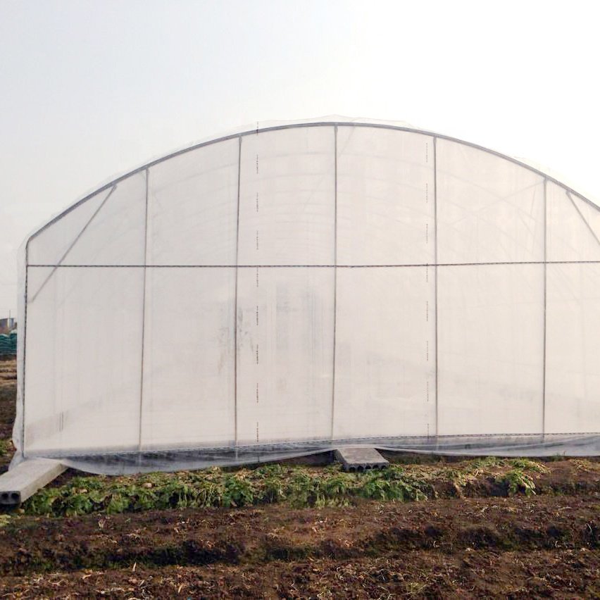 Round Agricultural Tunnel Single-span Greenhouse Fully Automated Light Deprivation Blackout Greenhouse