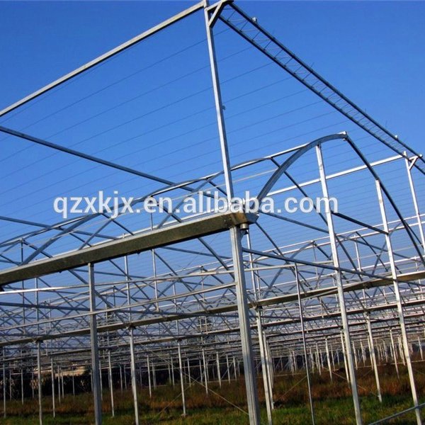 Multi span Agricultural greenhouse with Plastic film cover For vegetable and fruits on hot sale